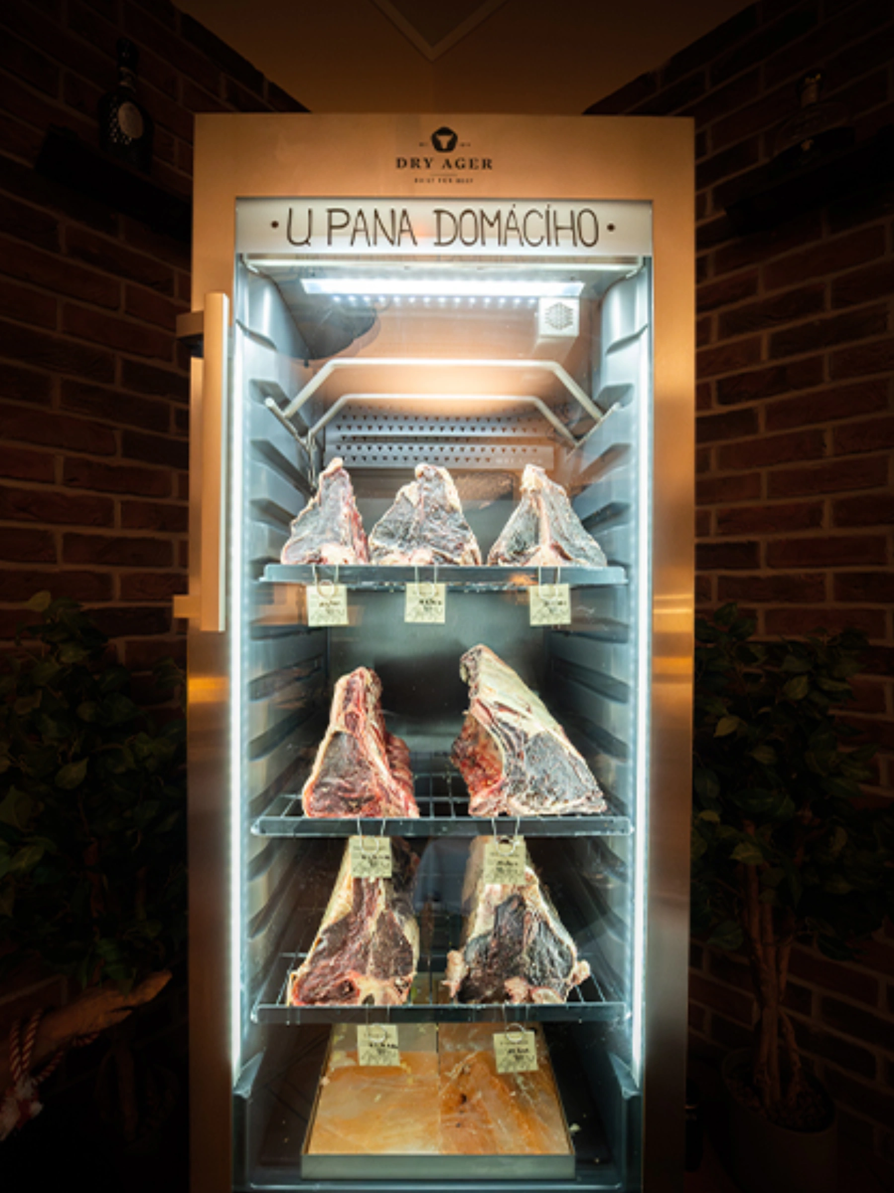Zrací skříň s dry-aged steaky při teplotě 0–2 °C ve skladu restaurace